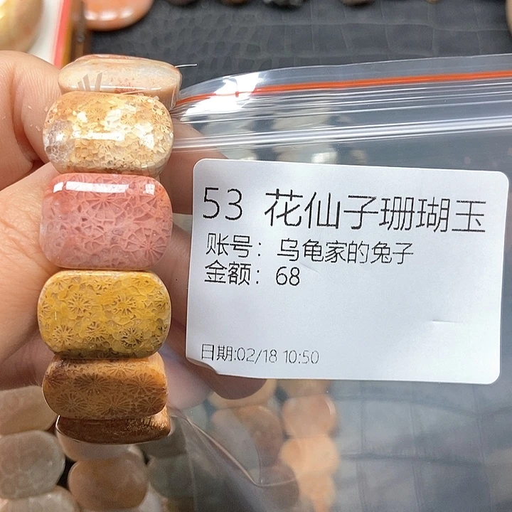 硅化珊瑚（珊瑚玉）手镯未镶嵌乌****子53