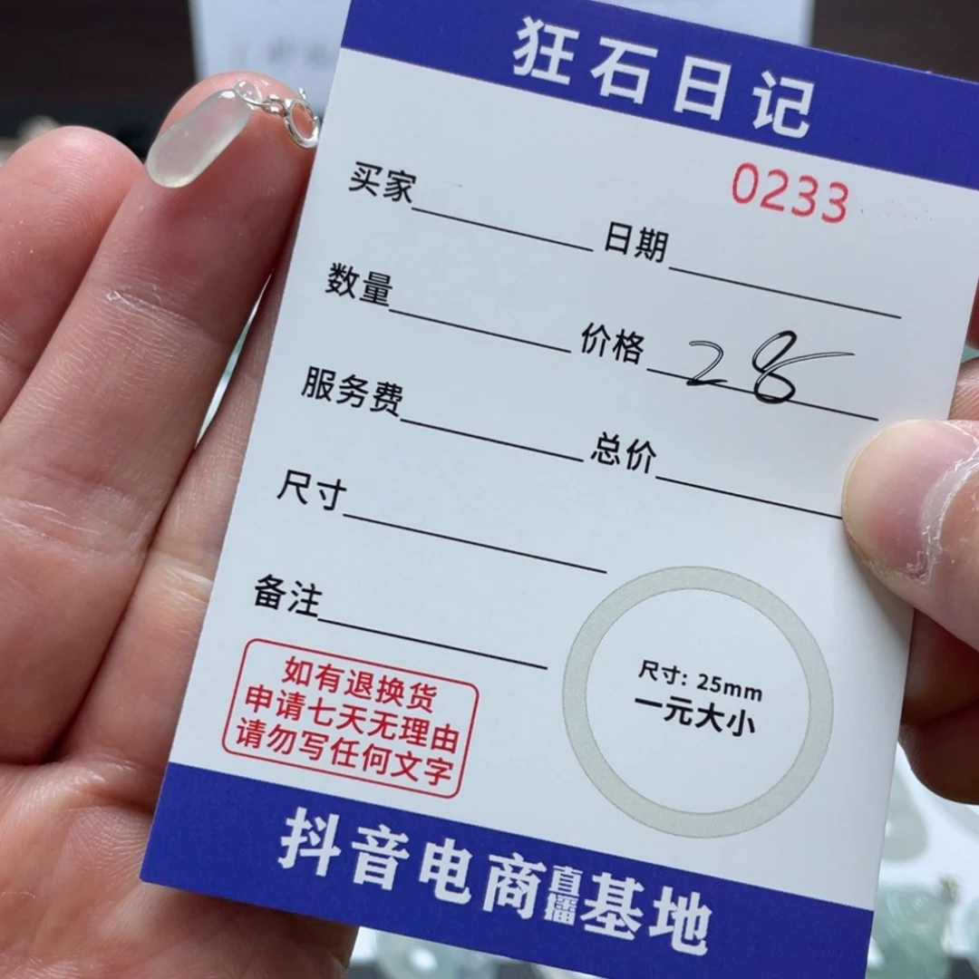 翡翠颈饰银S925镶嵌南*汐天然A货缅甸翡翠 拍一发一