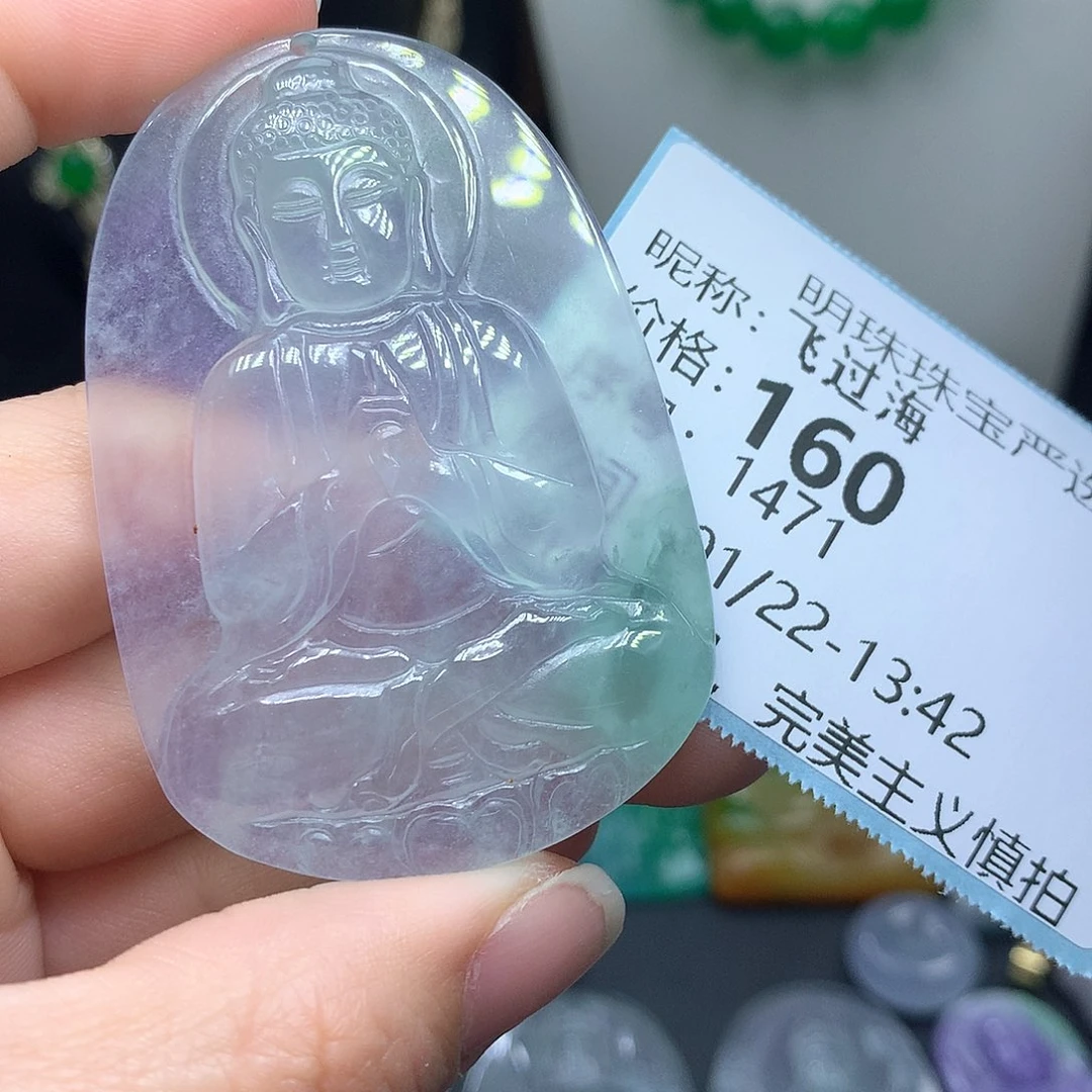 翡翠颈饰未镶嵌飞*海