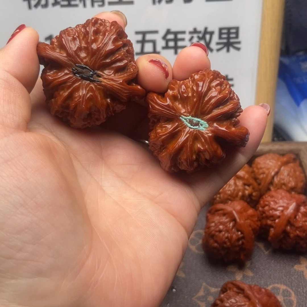 *****45白狮子白狮子白狮子