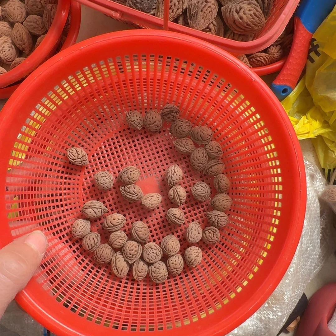 野生精挑碧桃核25颗