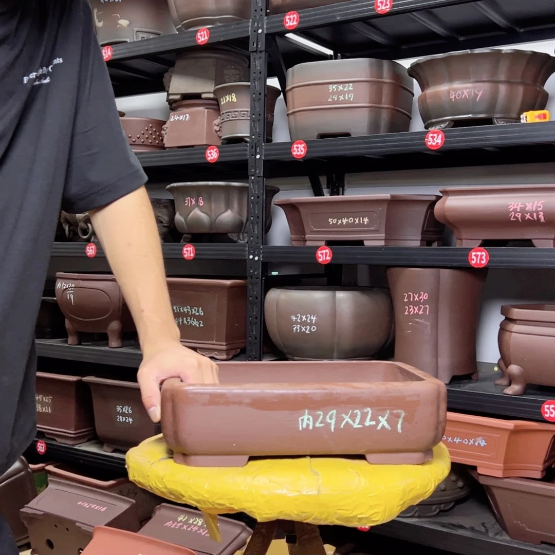 紫砂其他呜呜呜呜