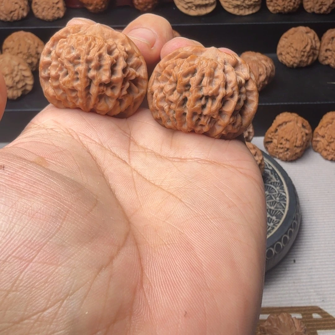 38尺寸宝鸡秦闷狮子头