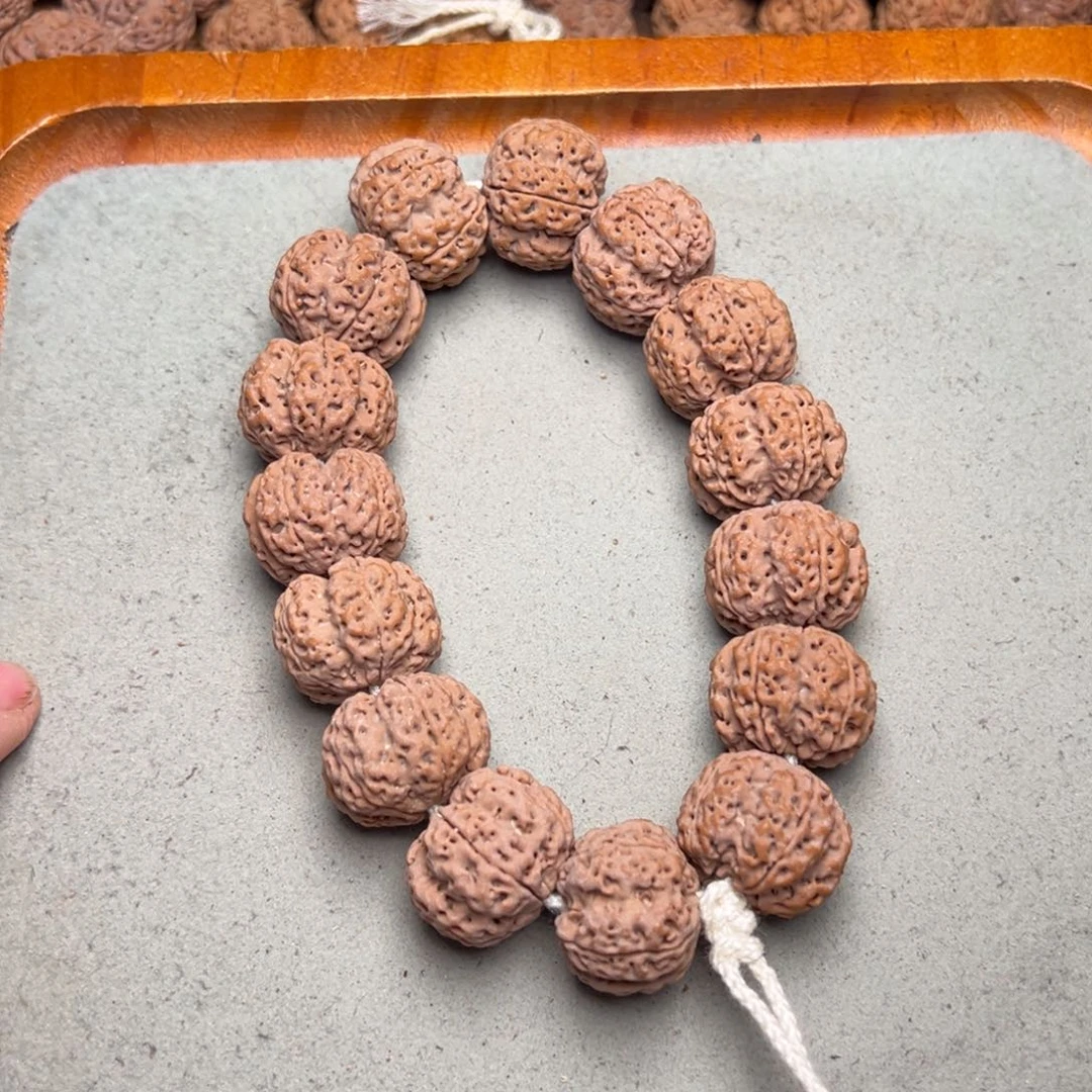 菩提3号金刚菩提龙骨梅花22