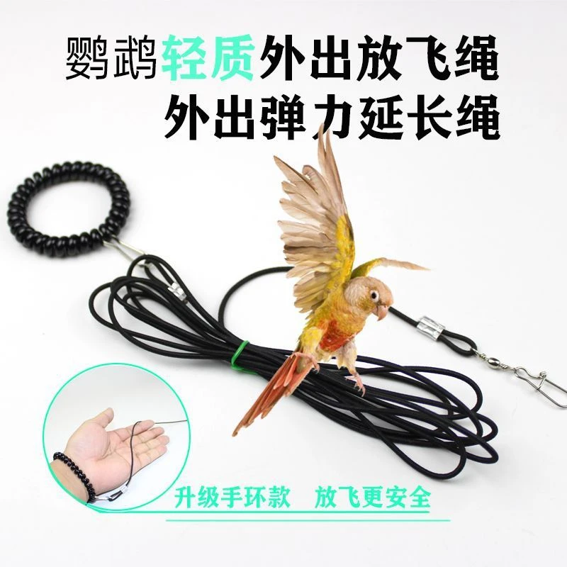 牵引超轻鹦鹉放飞绳小宠用牵引延长绳适合虎皮牡丹玄凤小太阳和尚