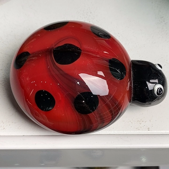 6****妹426666985666668866