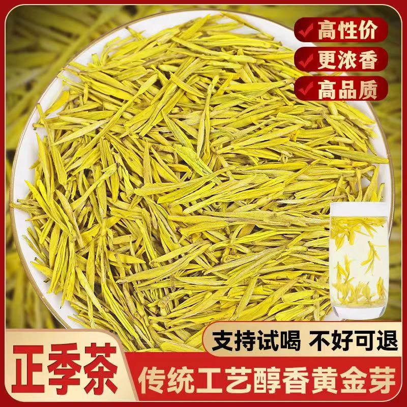 2025新茶黄金芽茶叶绿茶250克