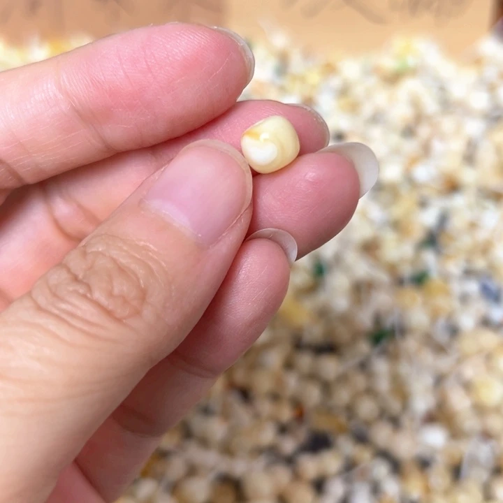 裸石蜜蜡未镶嵌7.5mm一个