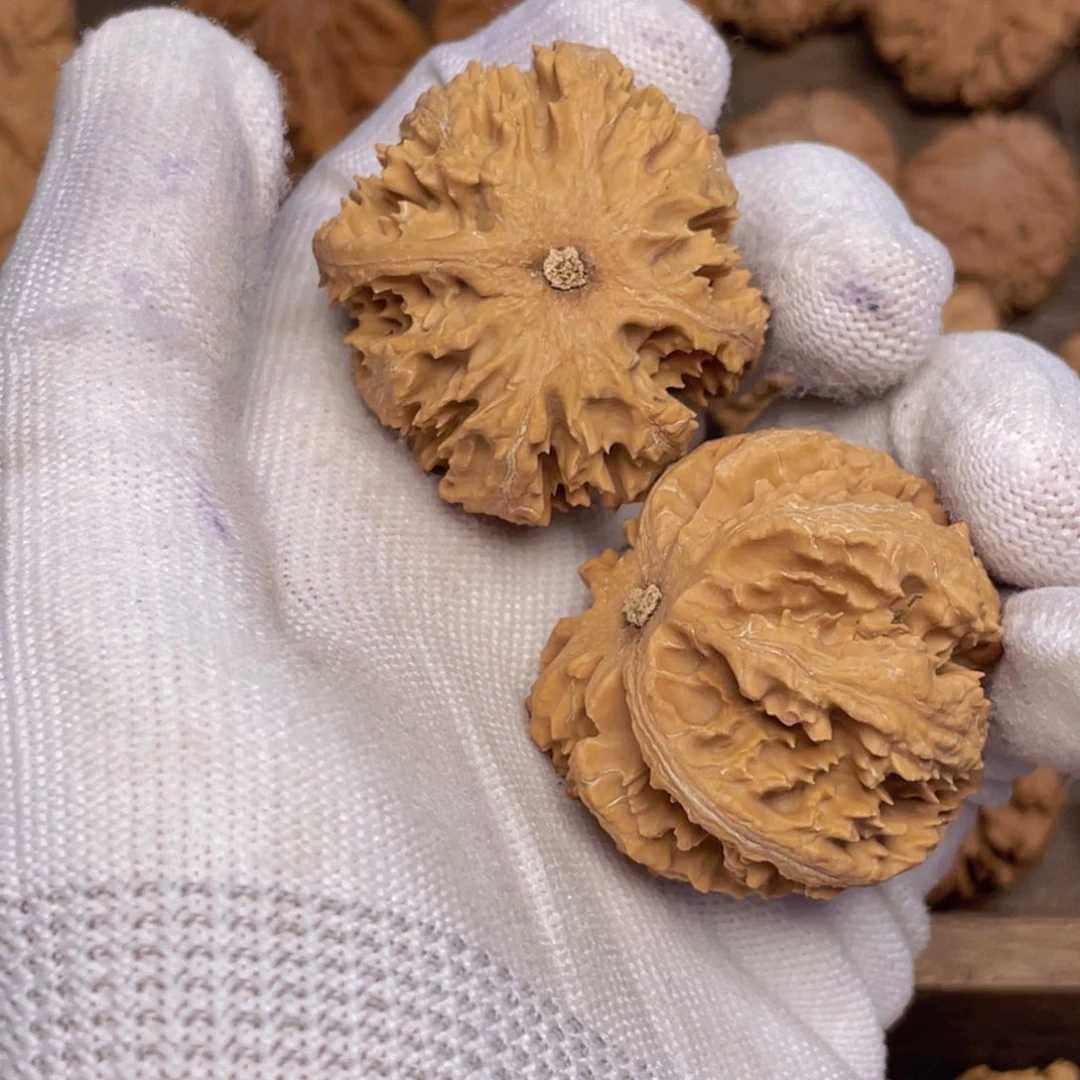 文玩核桃吊坠25 秦岭灯笼野生小众