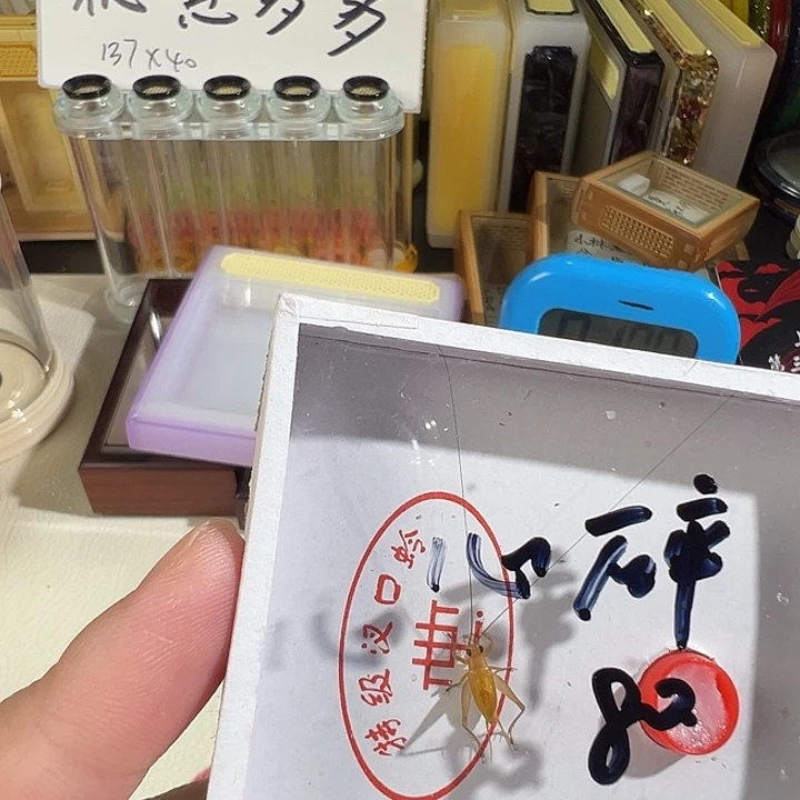 心***处漂亮黑眼睛一只合适