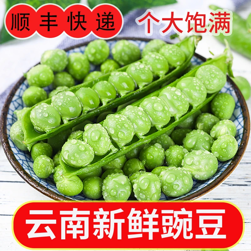 顺丰快递/豌豆新鲜云南带壳青豆角粒农家蔬菜水果甜豆荚嫩当季
