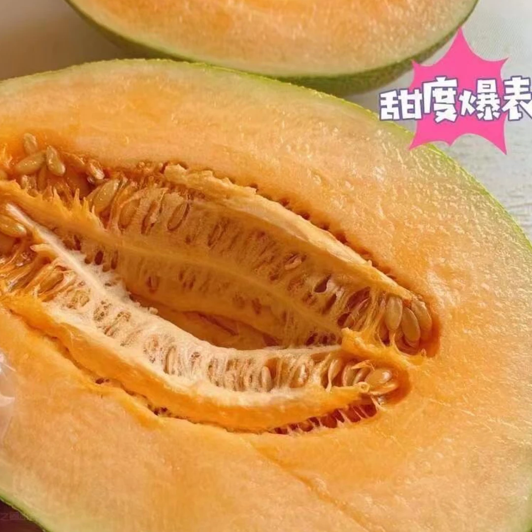 哈密瓜一颗