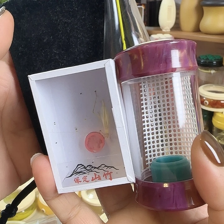 紫色掌中宝➕山竹66666666