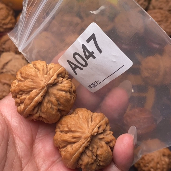 核桃把件霸王龙37尺047号