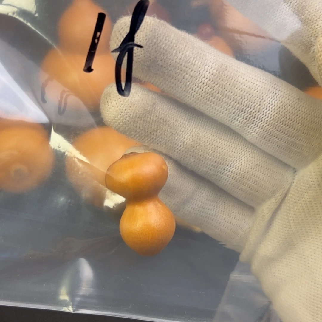 勇*葫芦葫芦葫芦葫芦葫芦