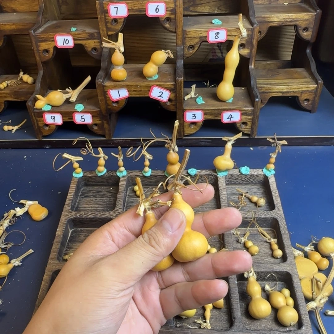 薄*つ我是一只小小鸟地域鬼的人