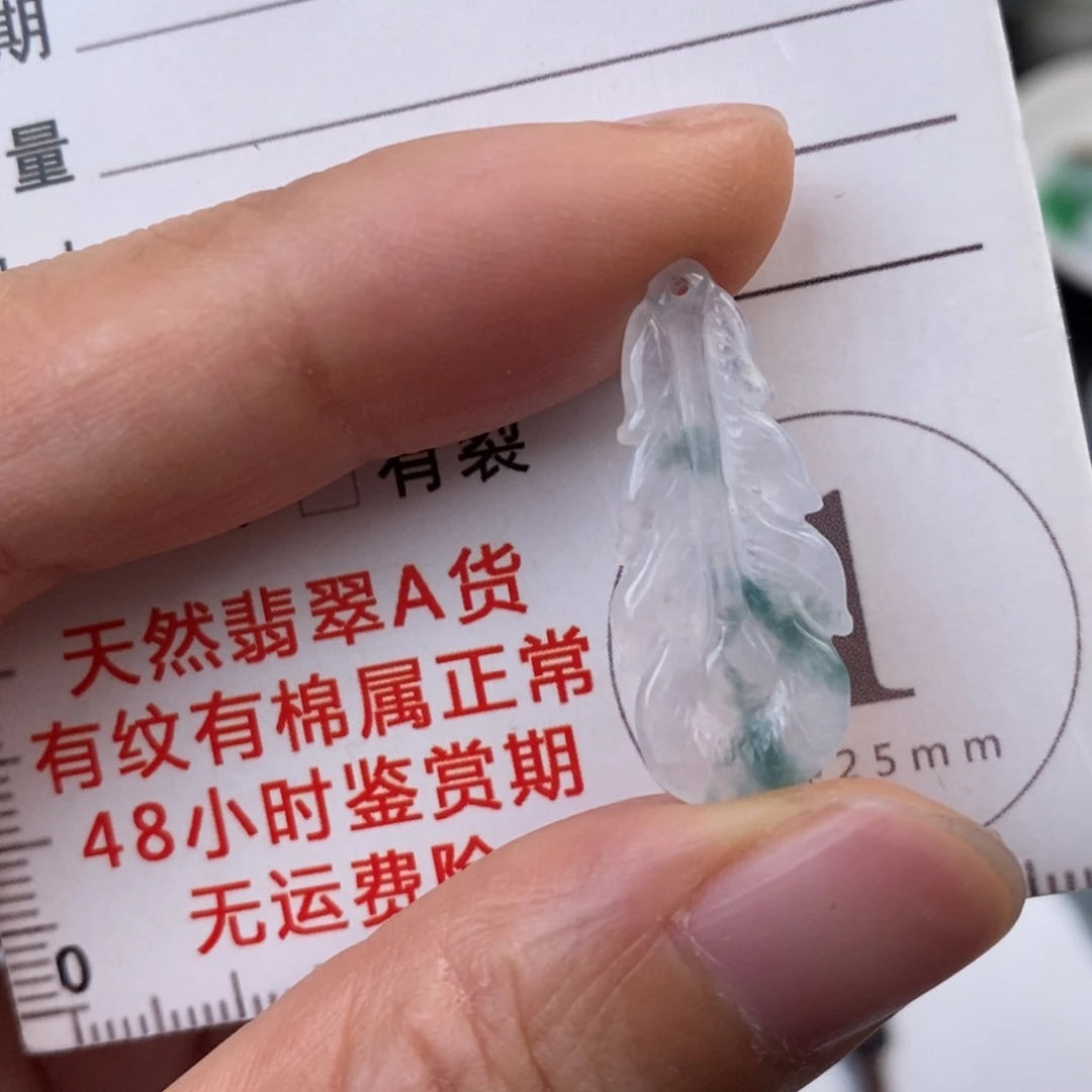 翡翠未镶嵌颈饰羽毛