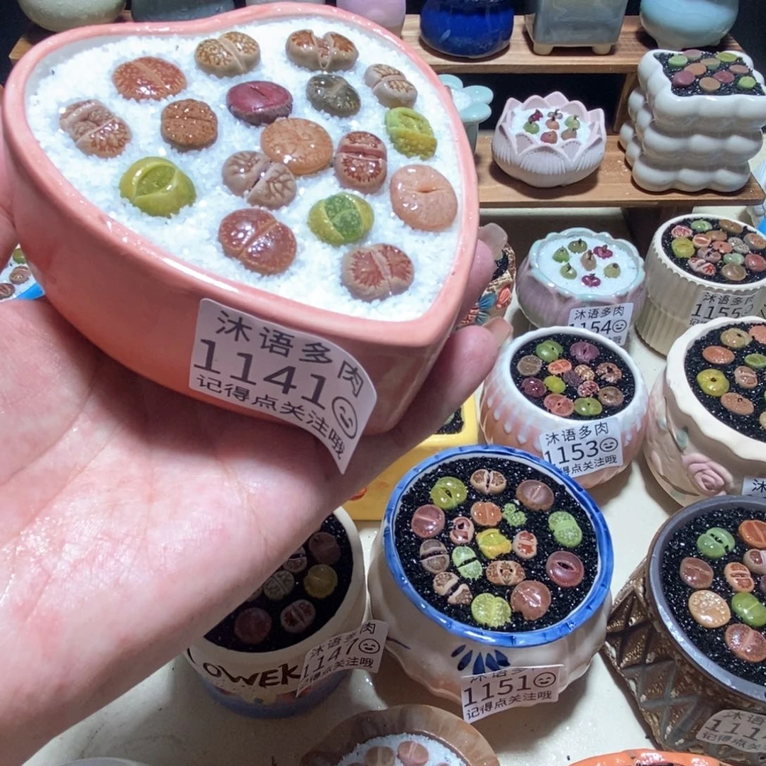 所见即所得 一物一拍1141