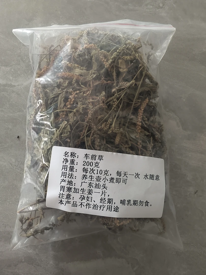 车前草干品200克装