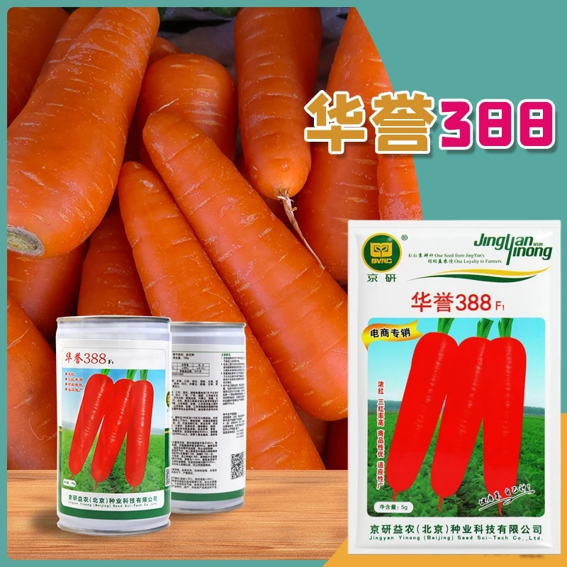 京研【农科院】京研胡萝卜种子华誉388号四季阳台小菜园盆栽春耕节