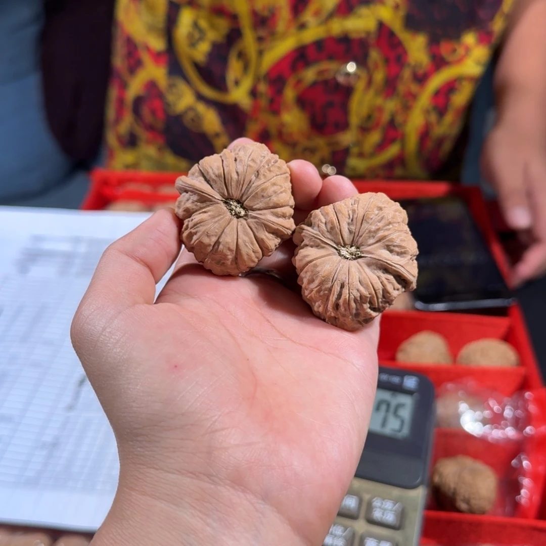 文玩核桃把件247号42mm全品南瓜墩