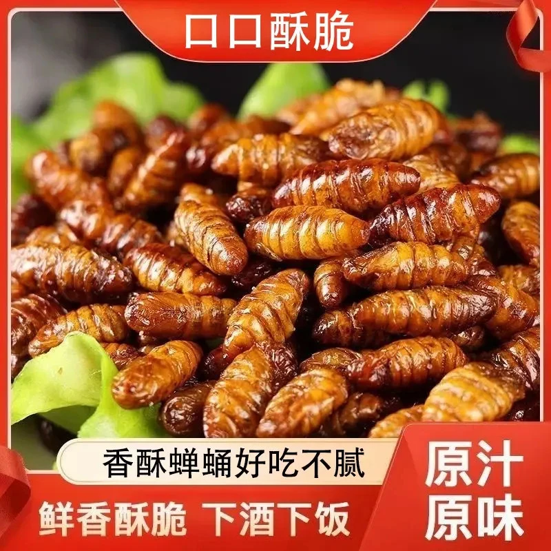 【下酒菜】香酥蚕蛹鲜香酥脆即食高蛋白营养丰富下酒菜