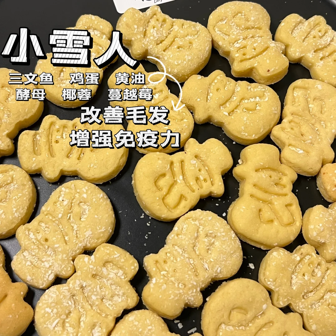 小雪人100g 三文鱼 鸡蛋 黄油 蔓越莓 椰蓉 改善毛发 增强免疫力