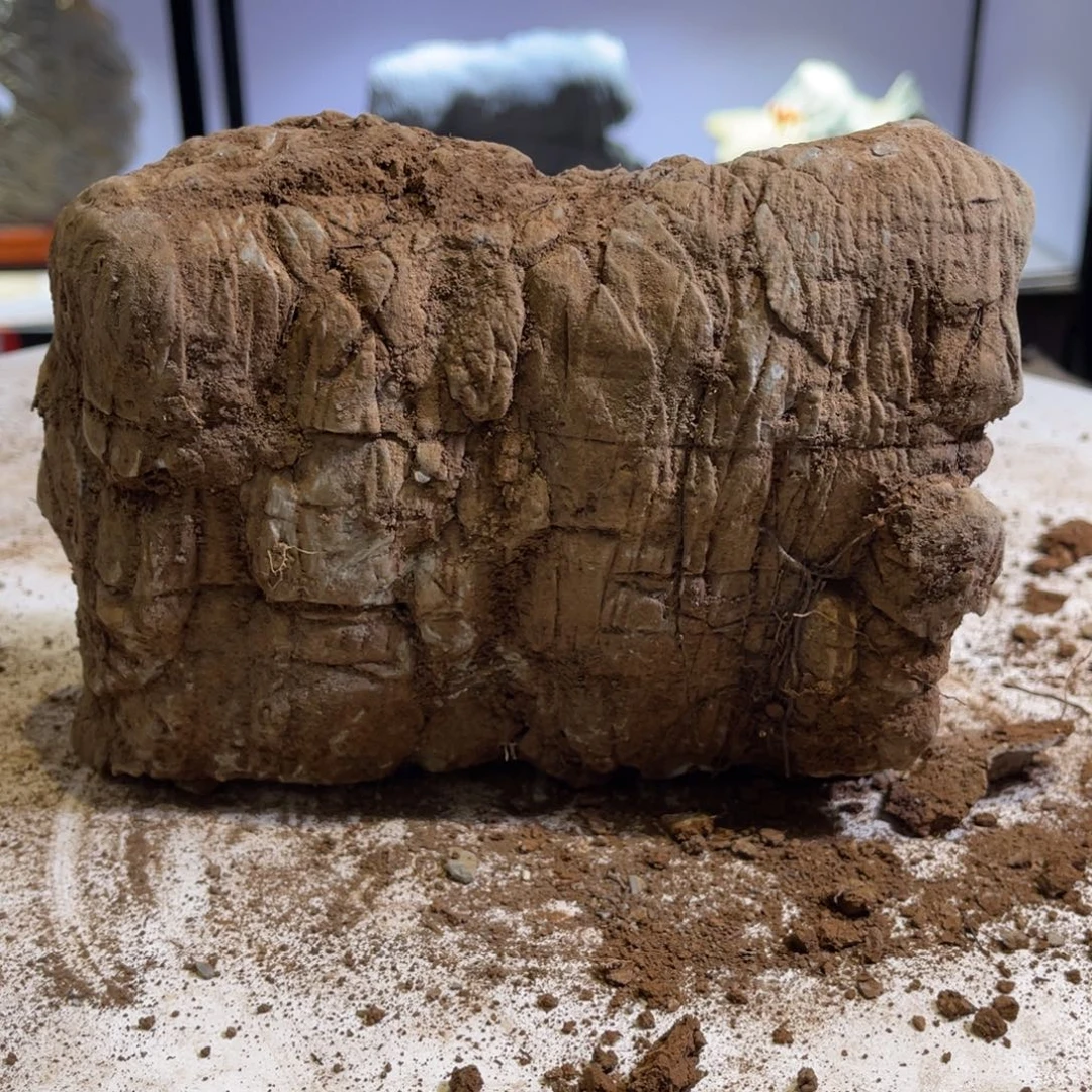 文***山石材灵璧亲密爱人是因为自己