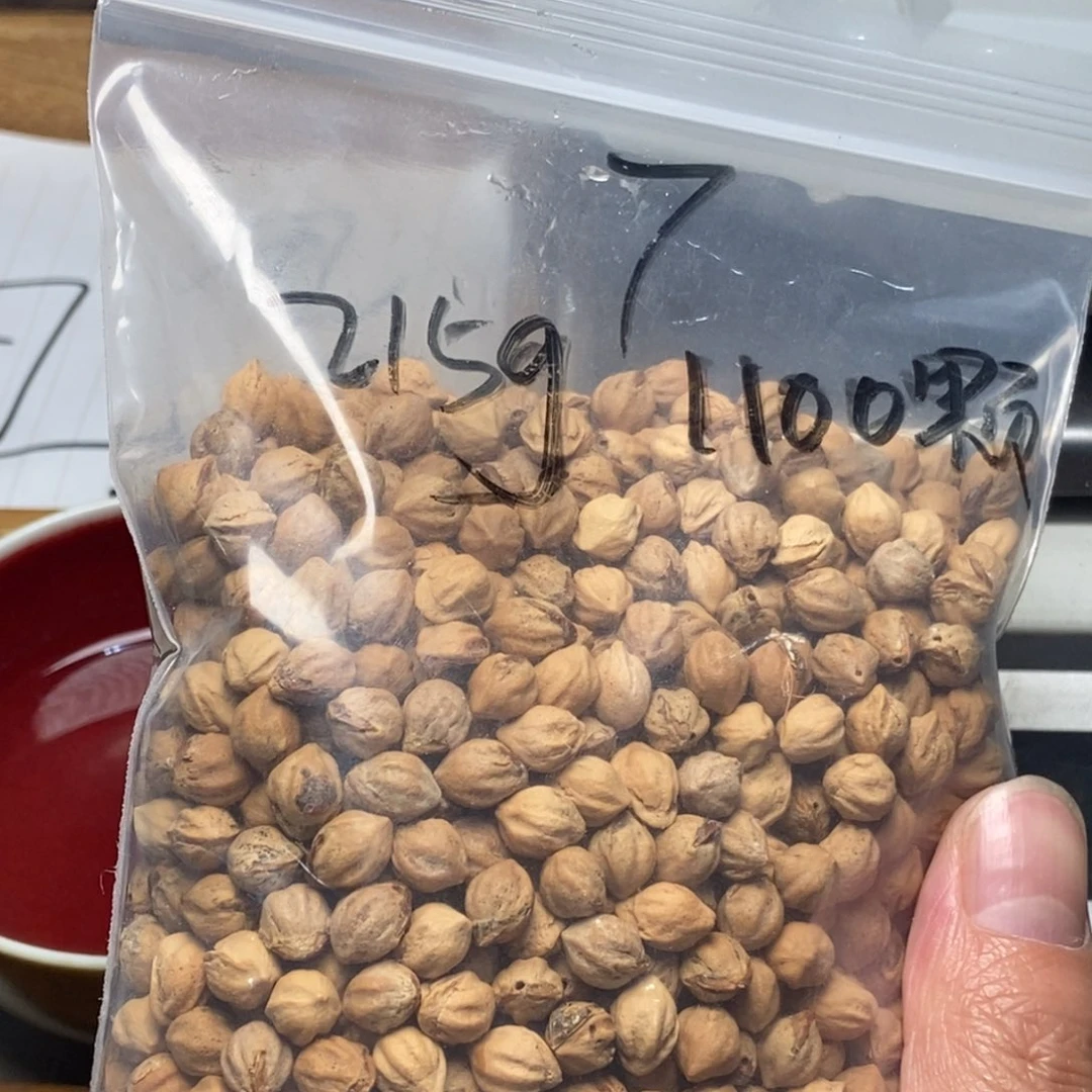 柏香籽/百香籽吊坠