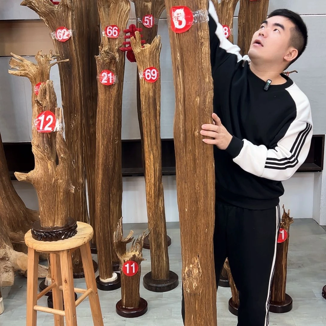 沉香摆件感*电海南沉香摆件