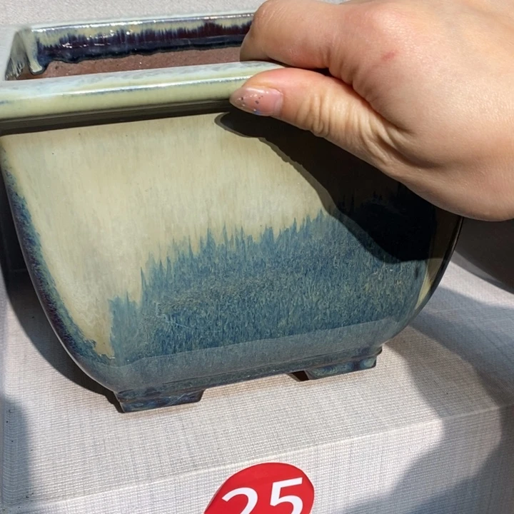 紫砂花盆香***煎福利来啦