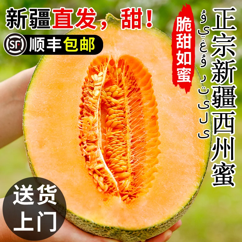 顺丰包邮新疆吐鲁番陆地西州蜜哈密瓜皮薄甜多汁新鲜采摘应季孕妇