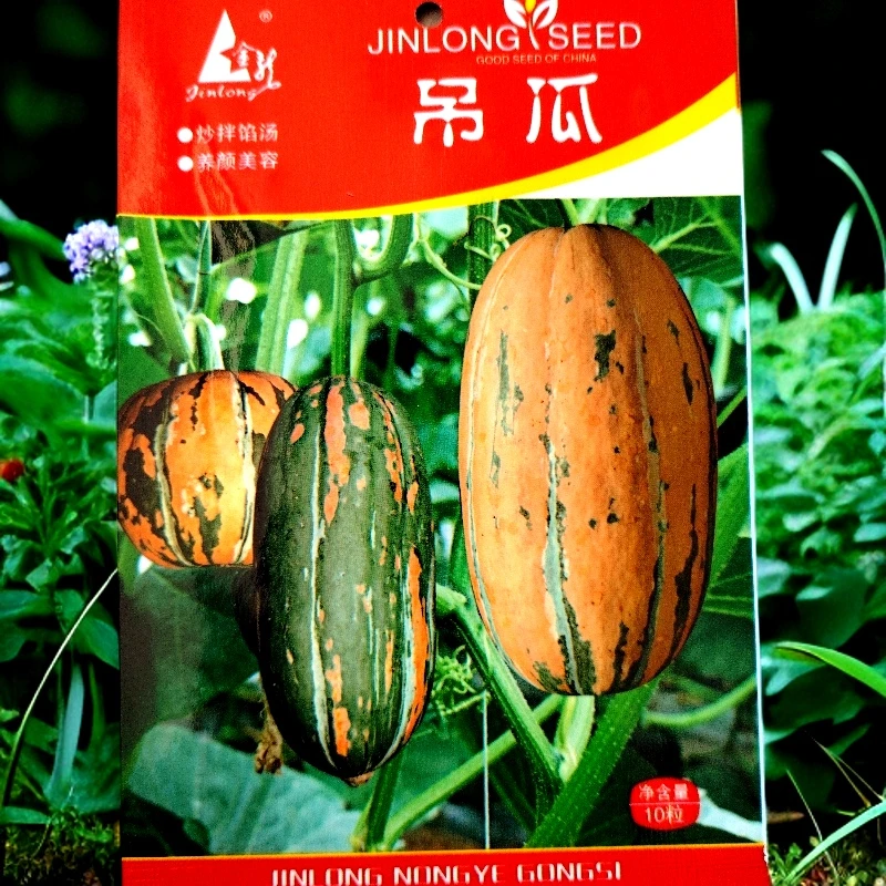 甜如蜜吊瓜种子10粒左右