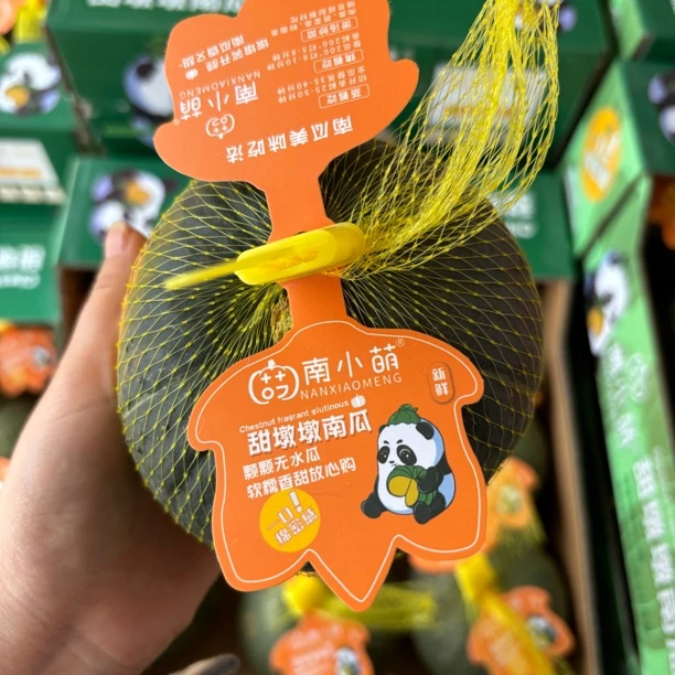 【南小萌】甜墩墩贝贝南瓜-板栗南瓜粉糯甜