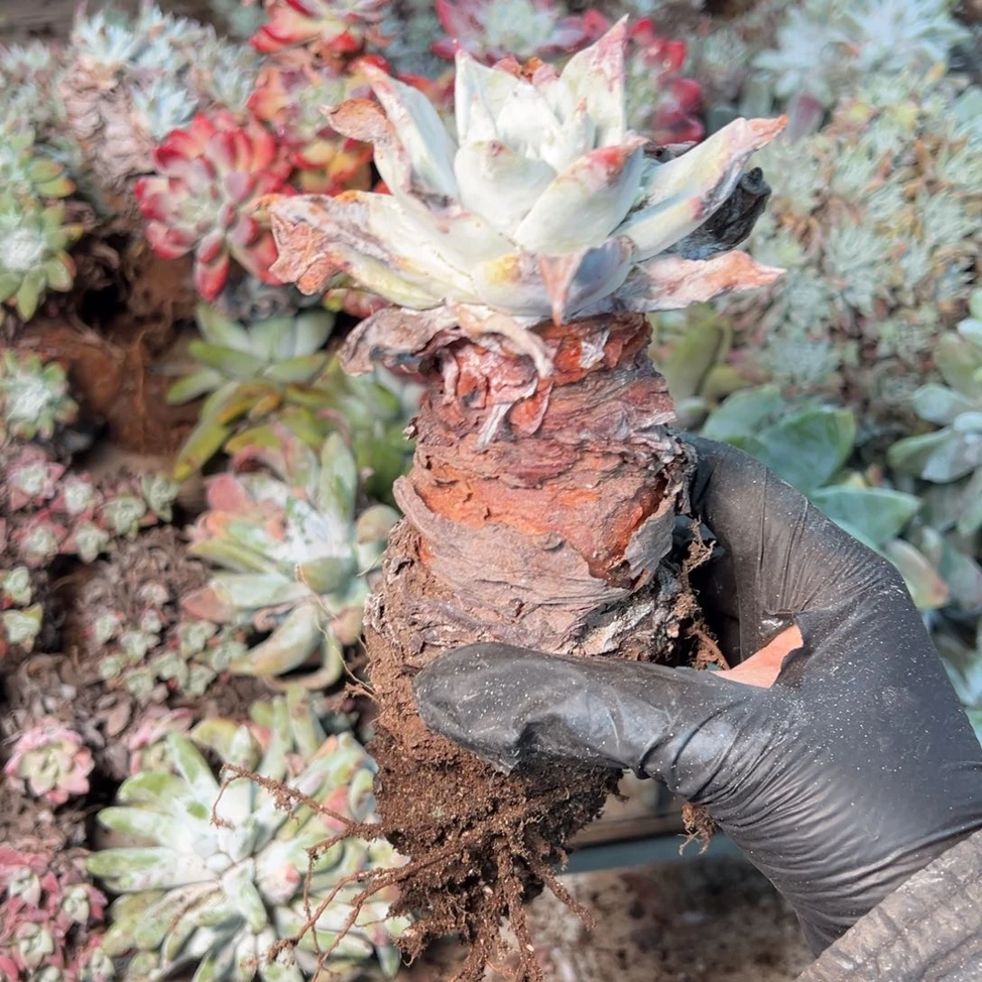 8714哈哈哈哈哈哈哈哈