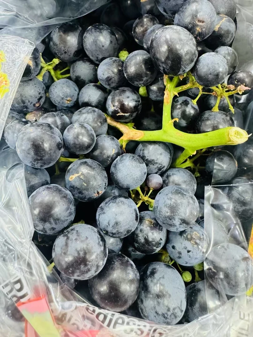 玫瑰香黑提葡萄3斤