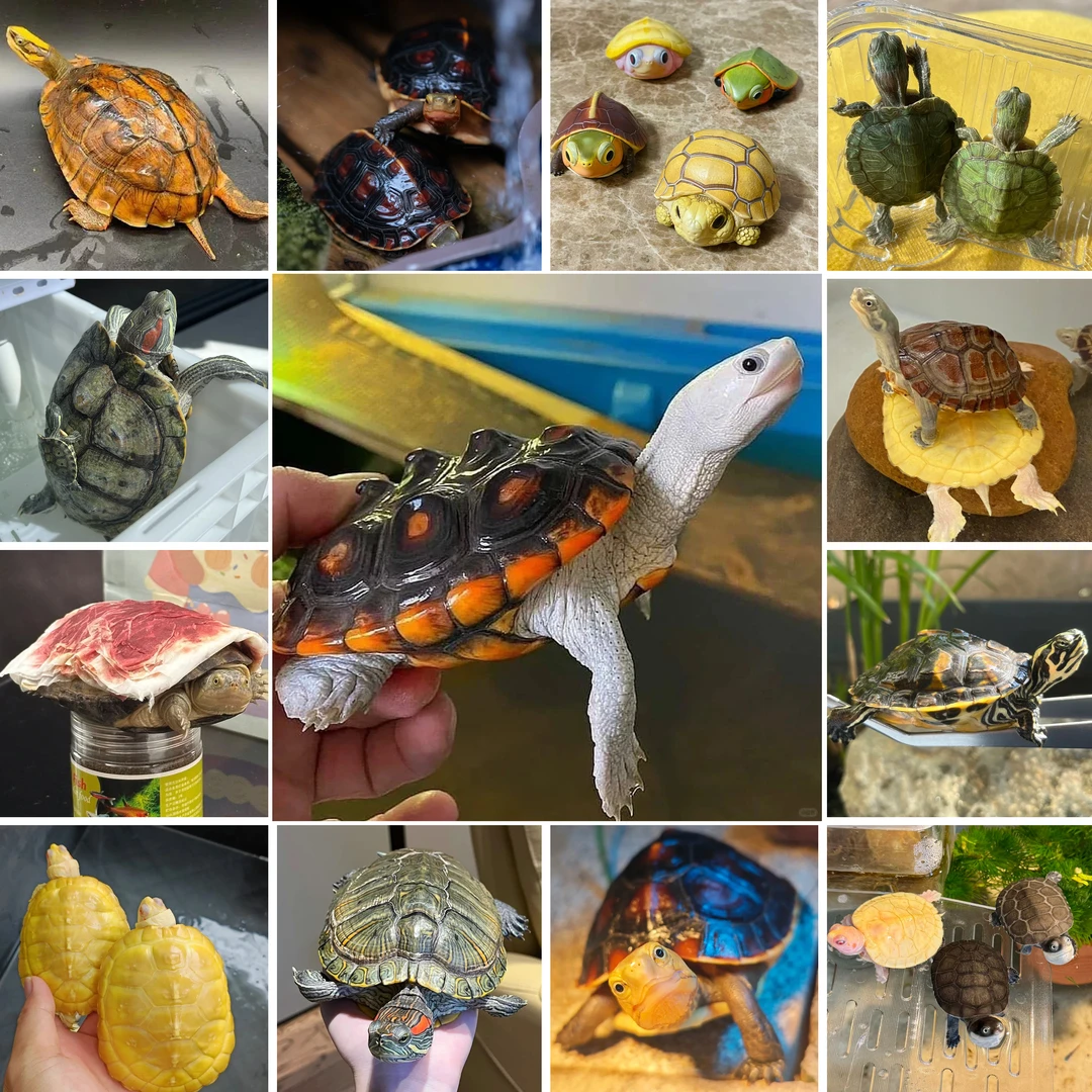 通用活体宠物链接