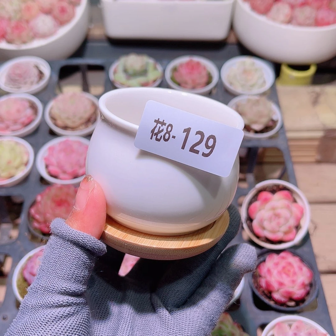 花08-129花盆一个