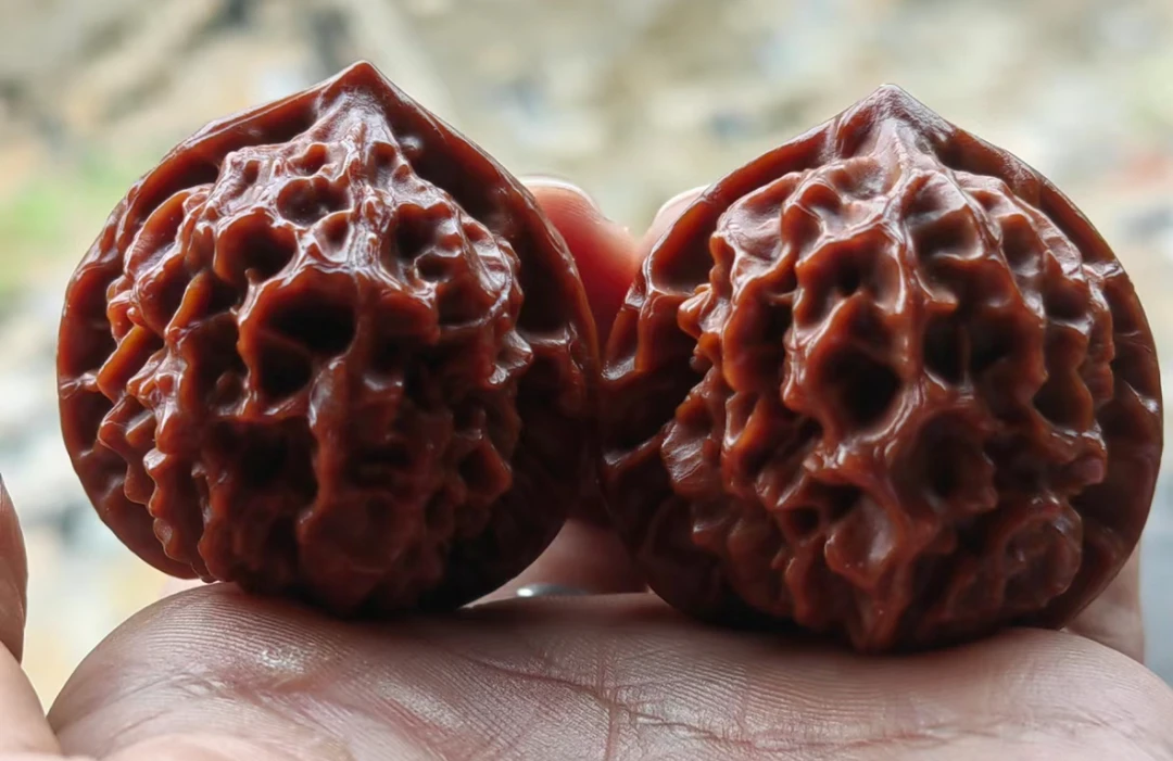 【苏城文玩】文玩核桃宝相花