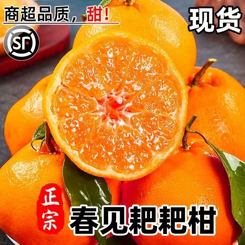 【次日就达】8斤/四川耙耙柑春见发果王新鲜顺丰包邮以上今天拍明天到耙耙柑四川省四川省眉山市