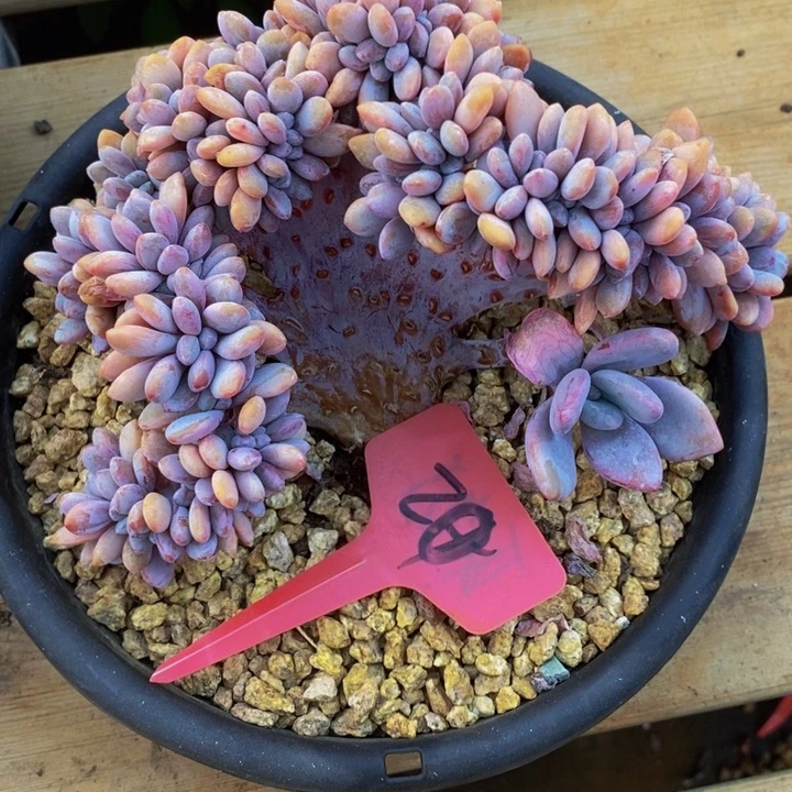 是吗这不还没有下班我