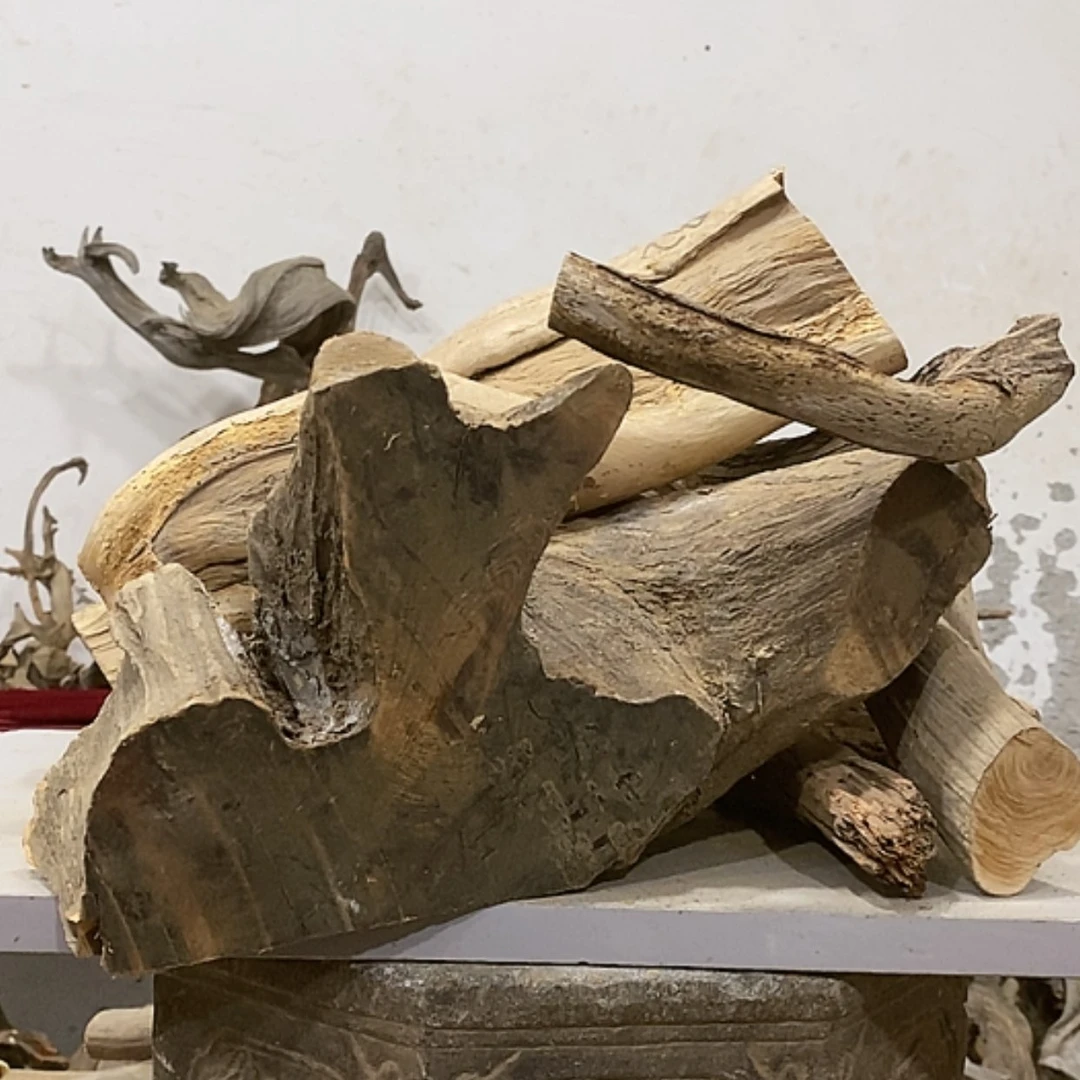 【闪购商品】柏木落**悔我们都是好孩子