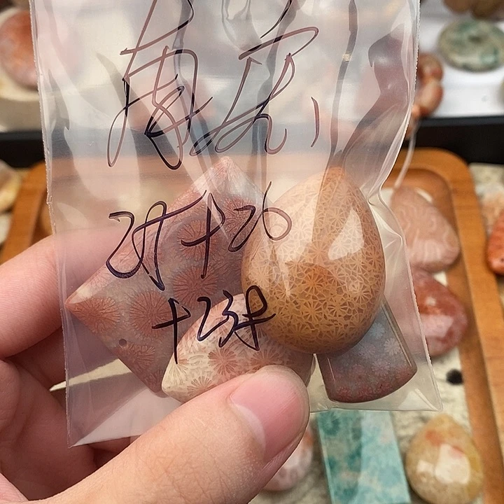 南***）硅化玉颈饰未镶嵌