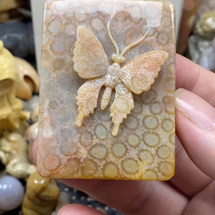 硅化珊瑚（珊瑚玉）未镶嵌颈饰