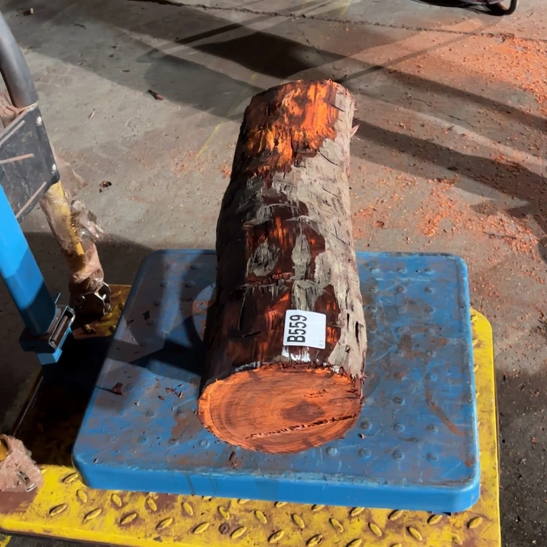 一物一拍血檀编码559