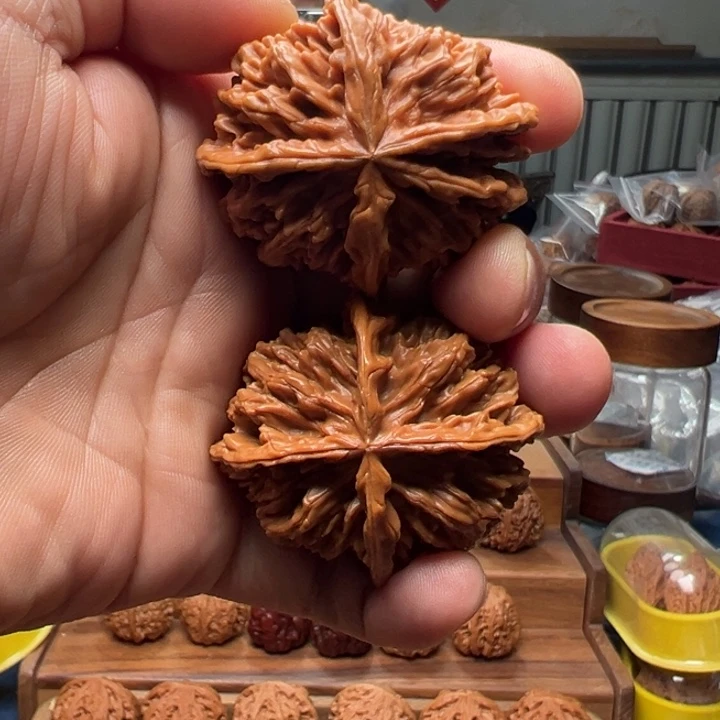 文玩核桃把件帝王狮子头四棱