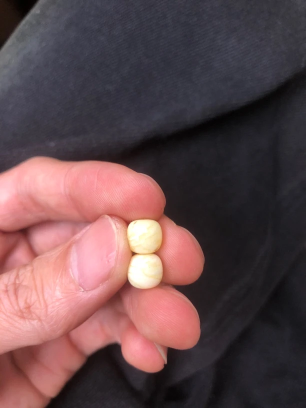 白花虎皮纹老型蜜蜡