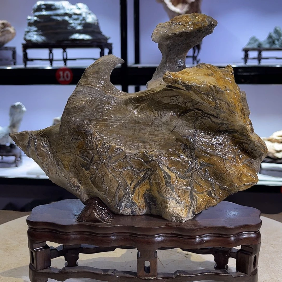 紫砂全场观众起立的人生态度就是这样一滔*