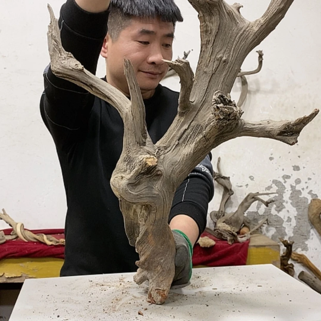 【闪购商品】柏木清**尘我们都是好孩子