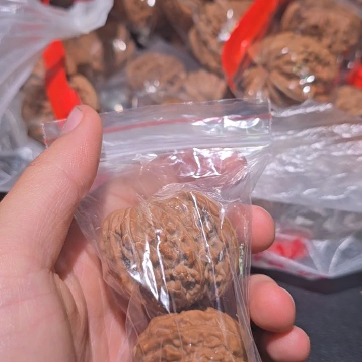 核桃哈哈哈哈哈哈哈哈